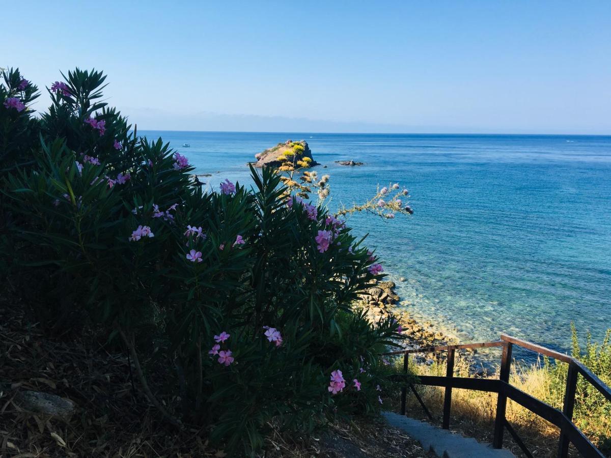The Summer Haven Полис Экстерьер фото